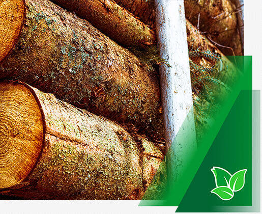 metsa ülestöötamine