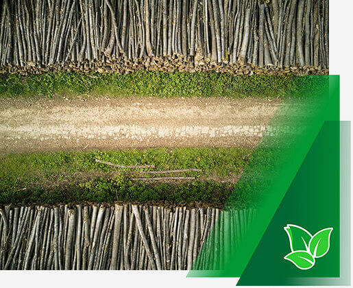 raieõiguse võõrandamine