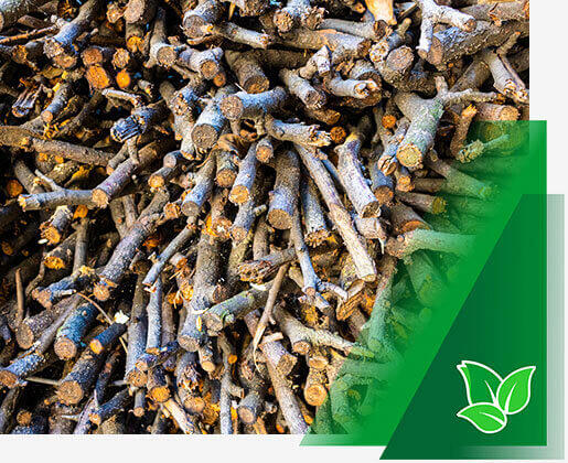 virnastatud võsa ost